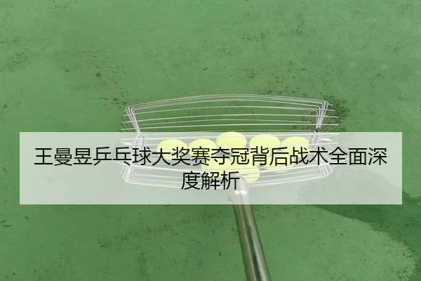 王曼昱乒乓球大奖赛夺冠背后战术全面深度解析 - 365 SPORTS